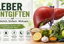 Leber Entgiften